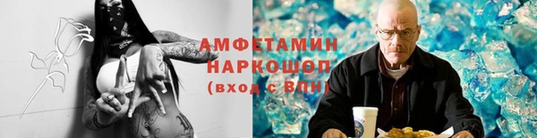 мдпв Осташков