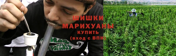 a pvp Белокуриха