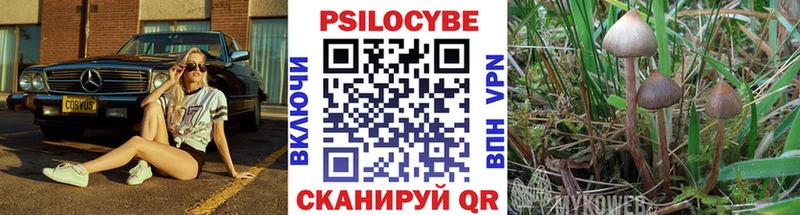 Псилоцибиновые грибы мухоморы  купить   Малая Вишера 